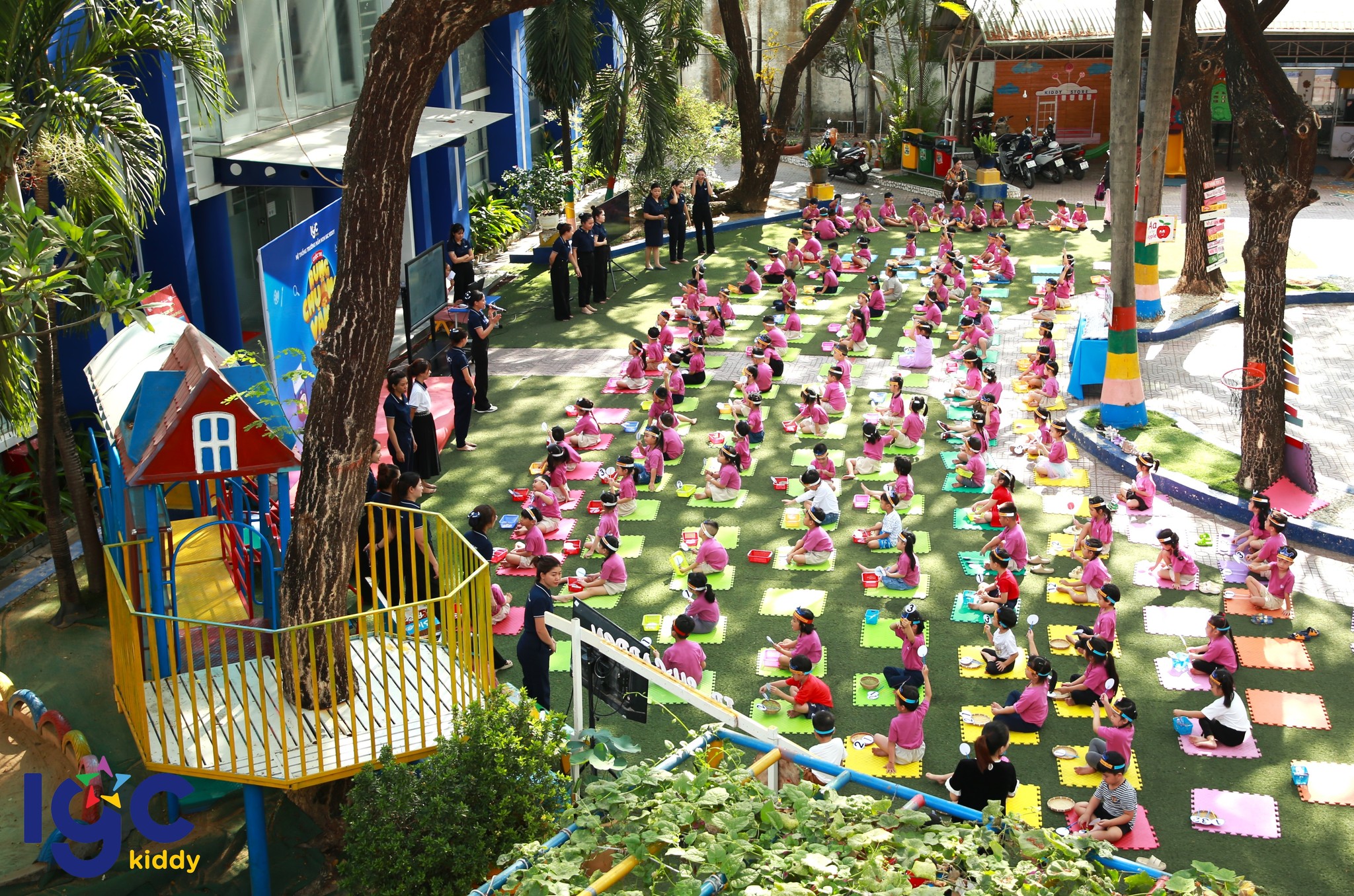 RUNG CHUÔNG VÀNG KHỐI DOLPHIN