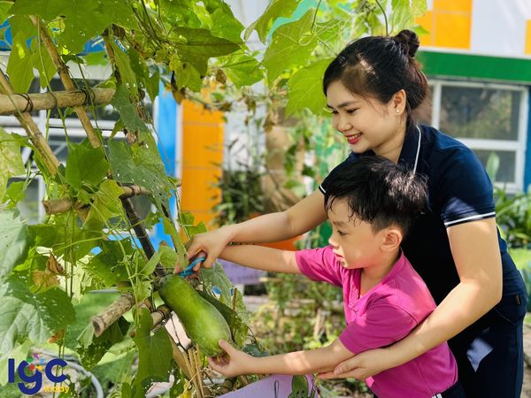 HÔM NAY, VƯỜN RAU TRONG TRƯỜNG CÓ GÌ LẠ THẾ??