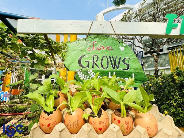 TRỒNG CÂY TỪ VỎ TRỨNG NGỘ NGHĨNH