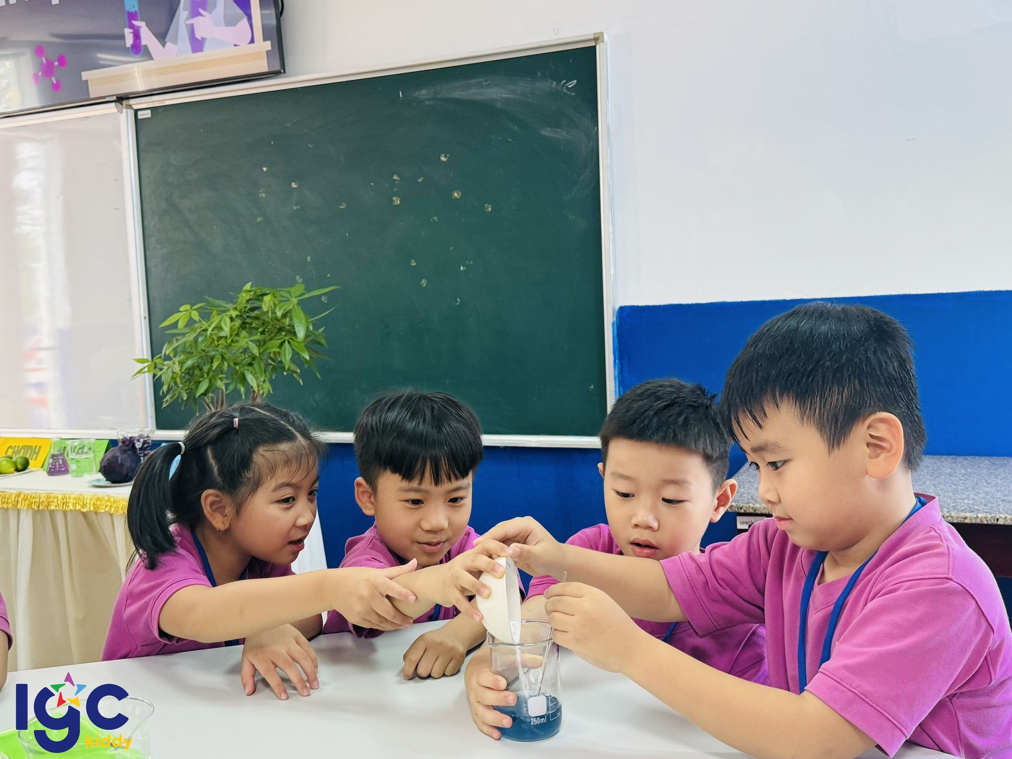 HOẠT ĐỘNG THAM QUAN TRƯỜNG TH-THCS-THPT THÁI BÌNH DƯƠNG (IPS)