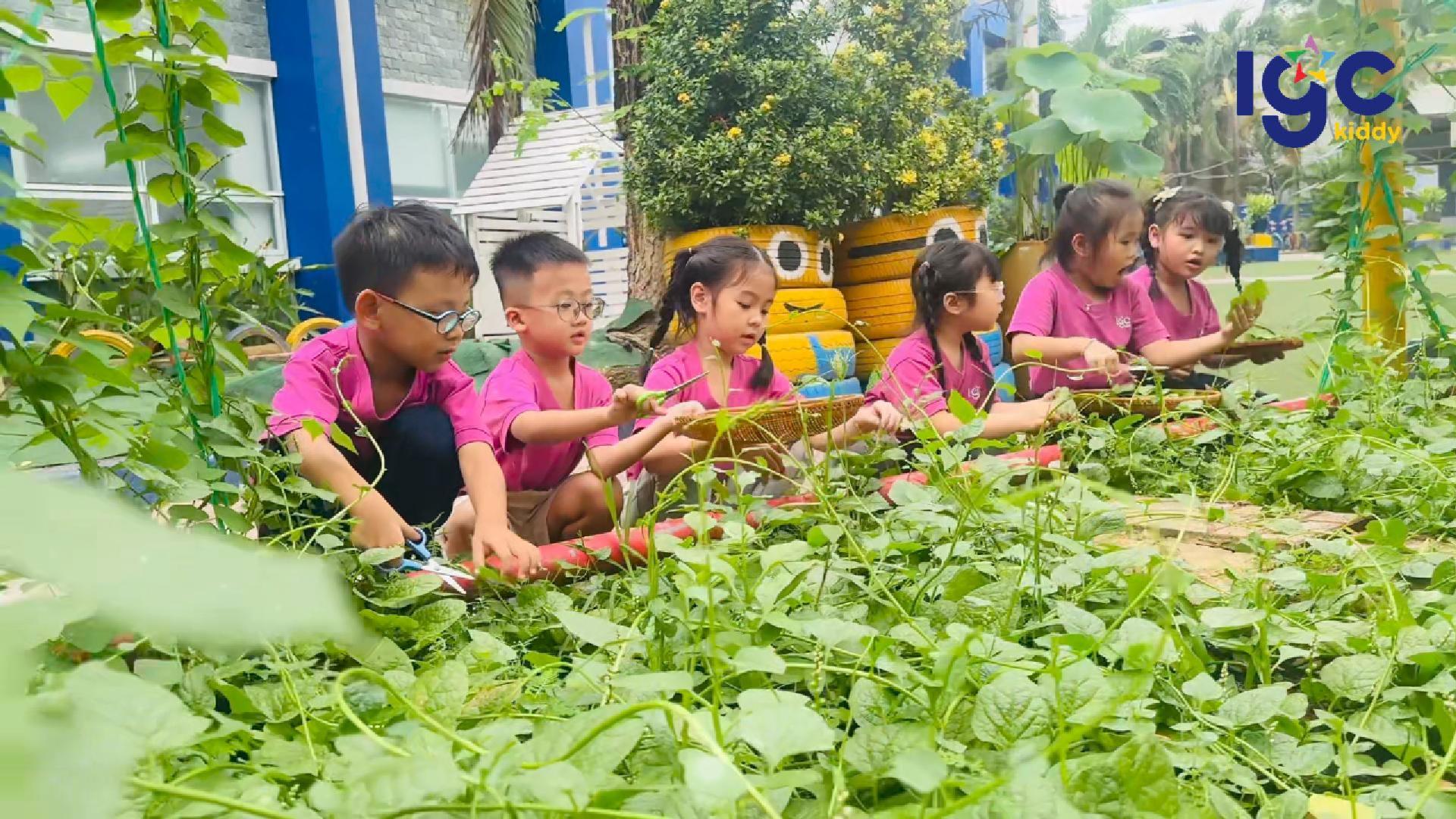 PHÚC LÂM – CẬU BÉ TRÀN ĐẦY NĂNG LƯỢNG VỚI NIỀM YÊU THÍCH GIÁO DỤC THỂ CHẤT VÀ TIẾNG ANH