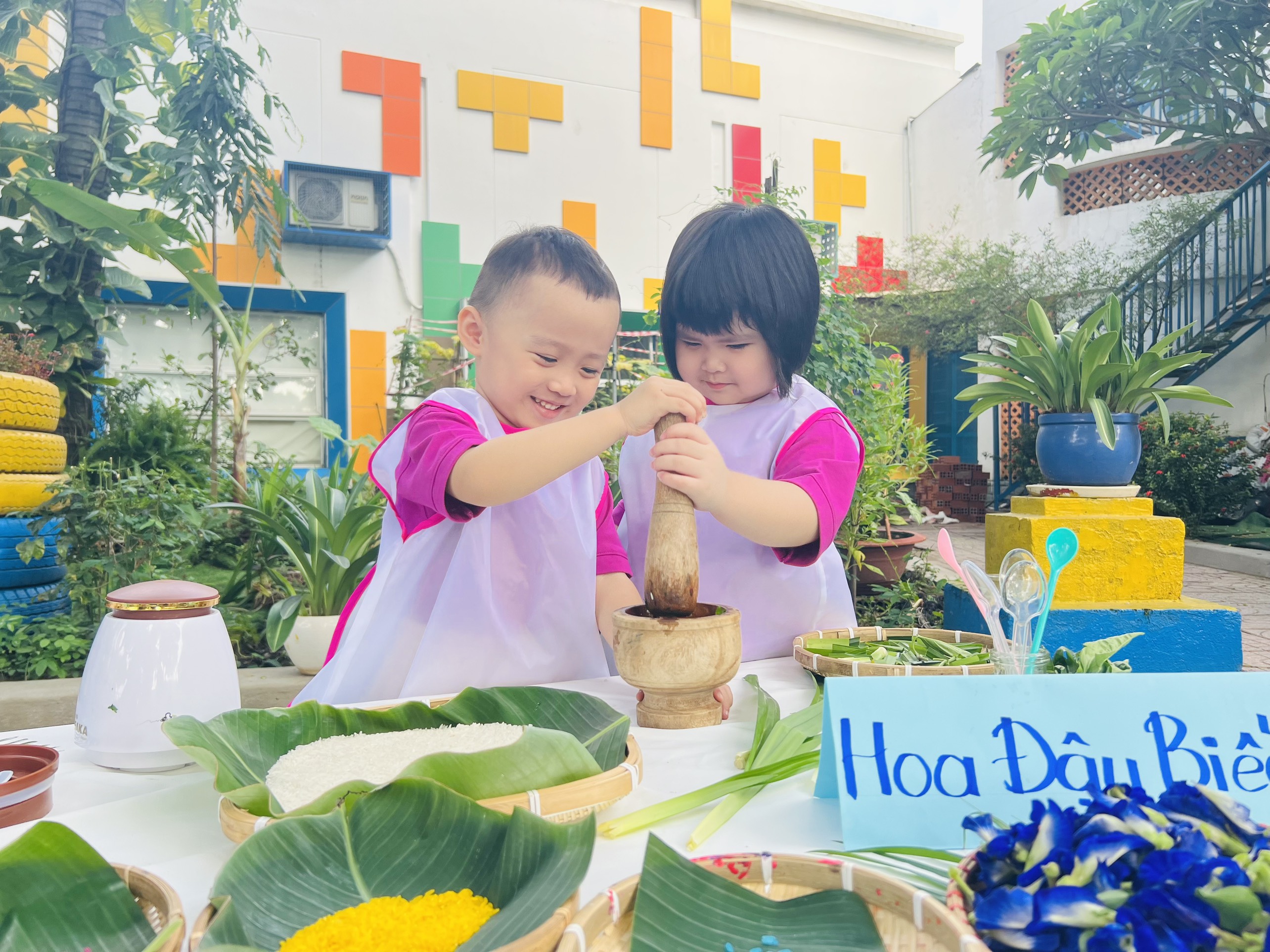 3. Hoạt động dạy học